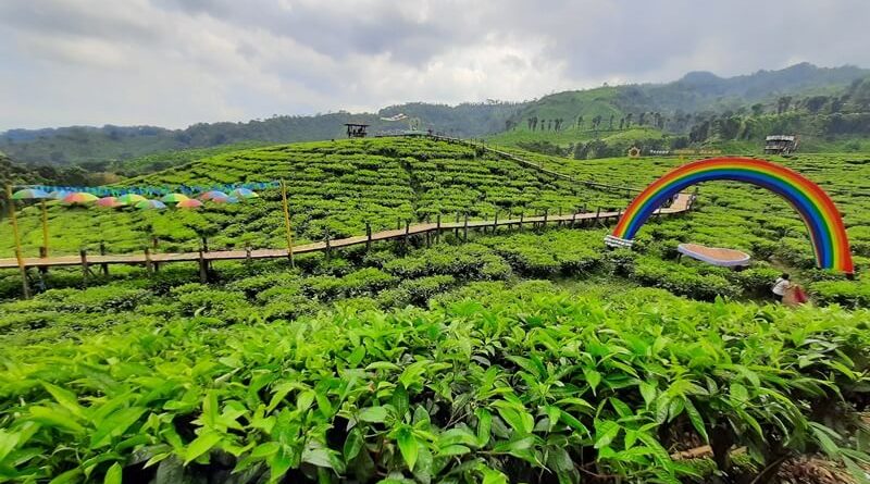 Tempat Wisata Di Jember Paling Hits